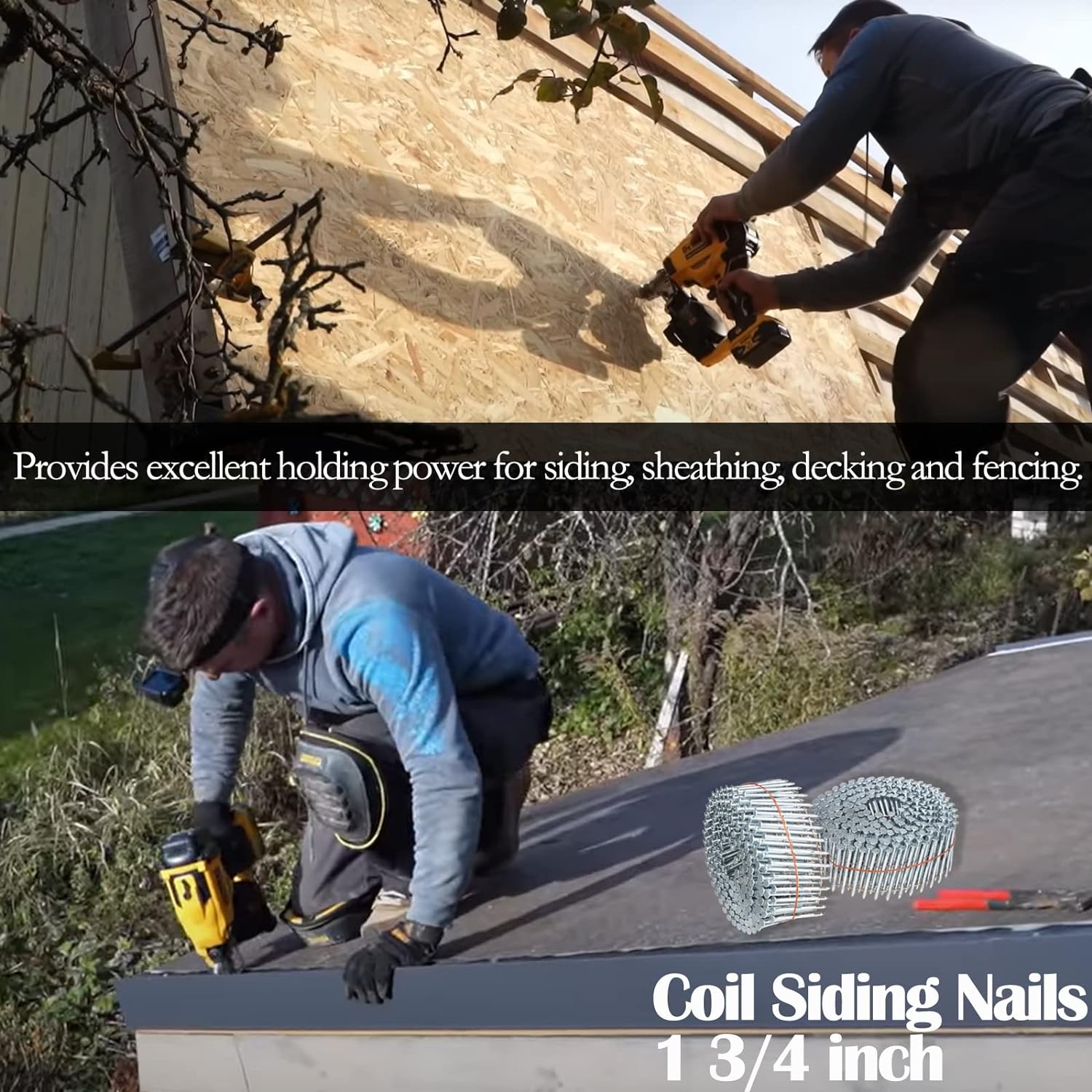 Cold-Dipped Galvanized Coil Nails