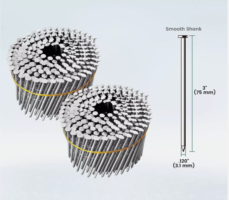 Smooth Shank Galvanized Coil Roofing Nail